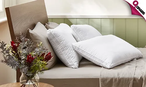 TWO Microfibre Pillows!